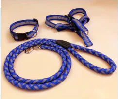 Dog Leash for Pets